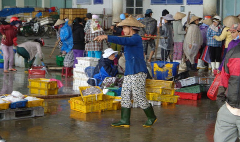 Tác động của biến đổi khí hậu đến di cư của người nông dân